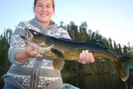 Walleye fishing in Picture Narrows